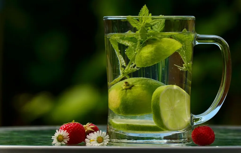 Detoxen en Ontgiften