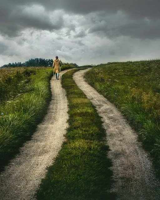vrouw aan het wandelen in de natuur